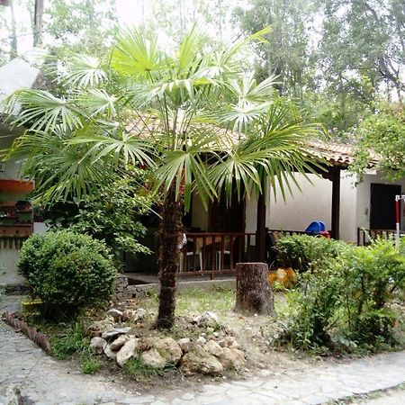 Camping Elizabeth Hotel Kalyvia Varikou Luaran gambar
